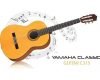 Gambar Gitar Akustik Yamaha C315 Cocok Untuk Pemula